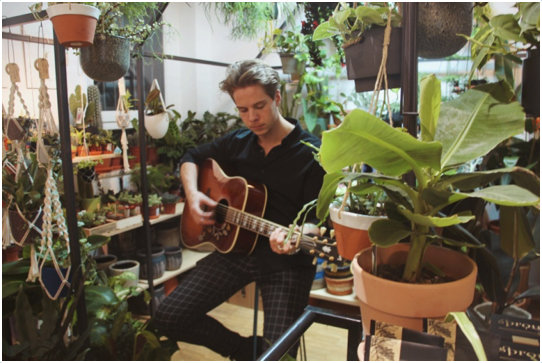 Schaufensterkonzert im Einzelhandel Winkel van Sinkel