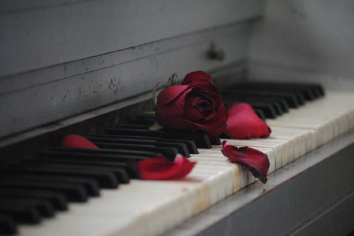Klavier mit Rose